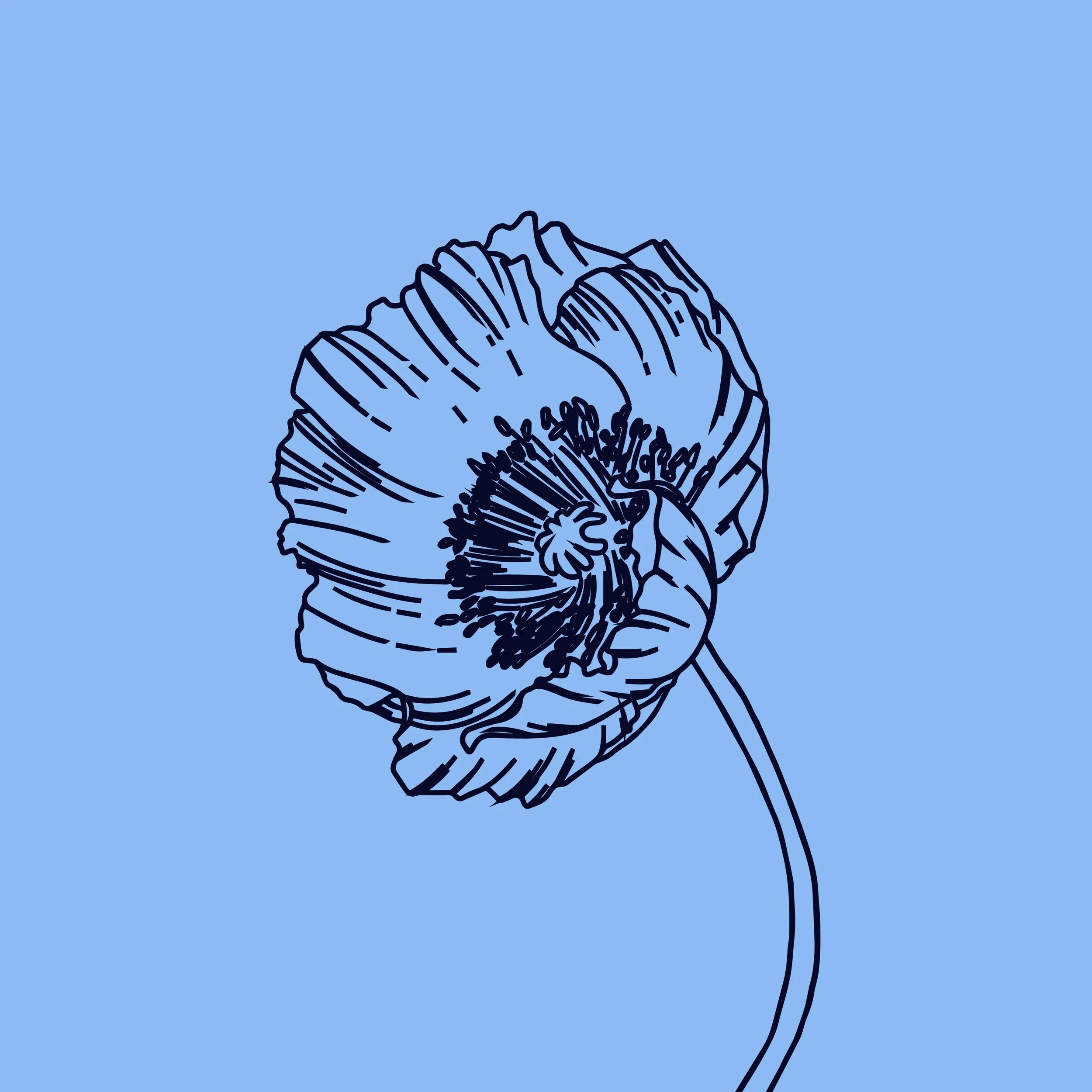 28 Bouquet