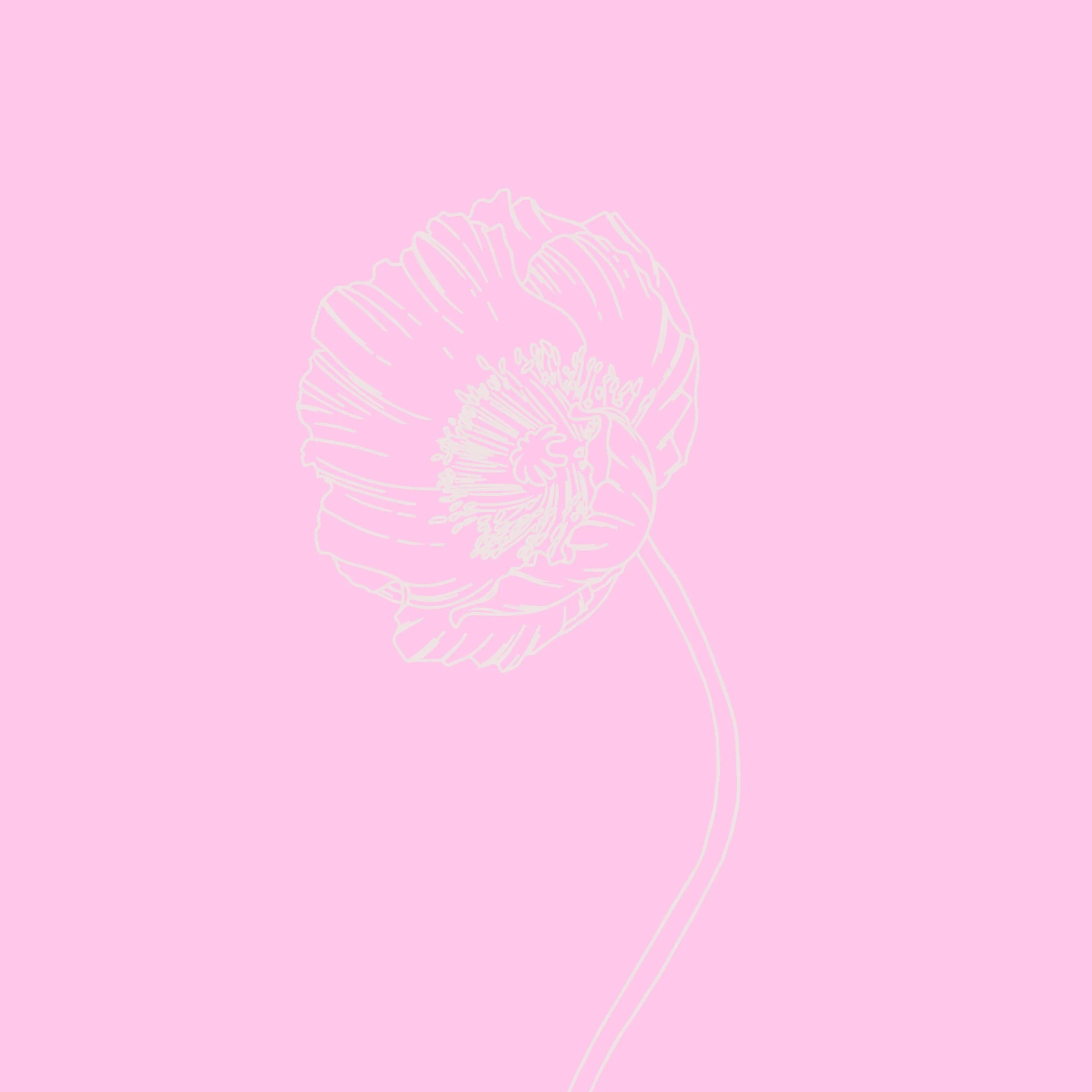 Flower Subscription